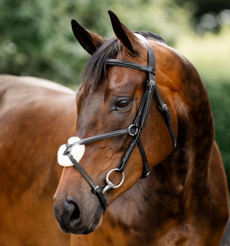 Oglowie-meksykanskie-HORSEWARE-Figure-8-Grackle-01