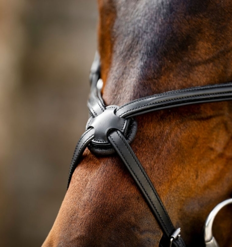 Oglowie-meksykanskie-HORSEWARE-Figure-8-Grackle-02