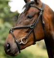 Oglowie-meksykanskie-HORSEWARE-Figure-8-Grackle-03