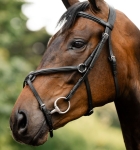 Oglowie-meksykanskie-HORSEWARE-Figure-8-Grackle-03