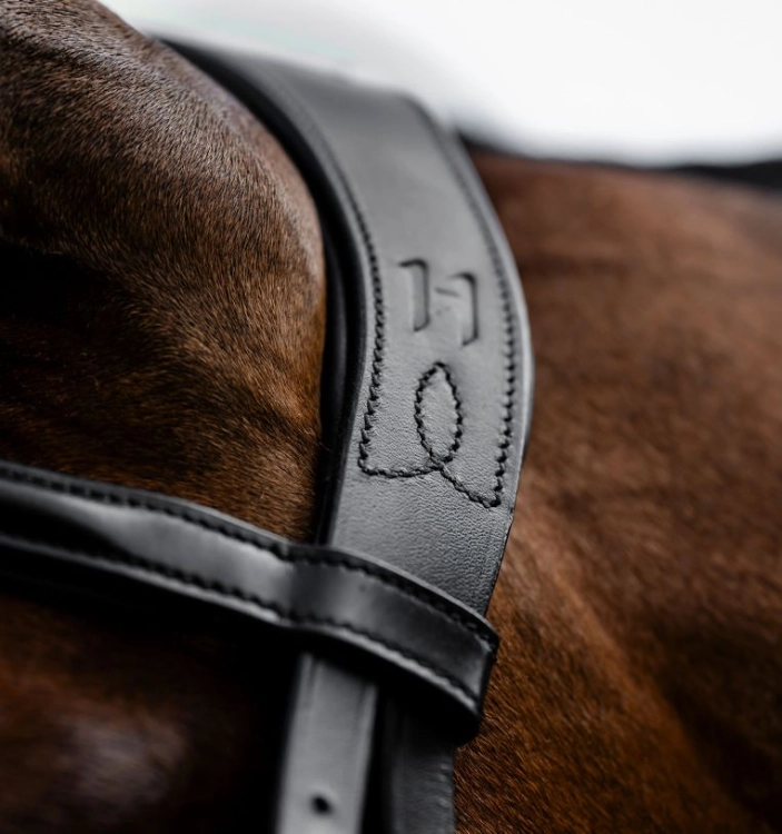 Oglowie-meksykanskie-HORSEWARE-Figure-8-Grackle-04