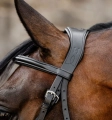 Oglowie-meksykanskie-HORSEWARE-Figure-8-Grackle-05