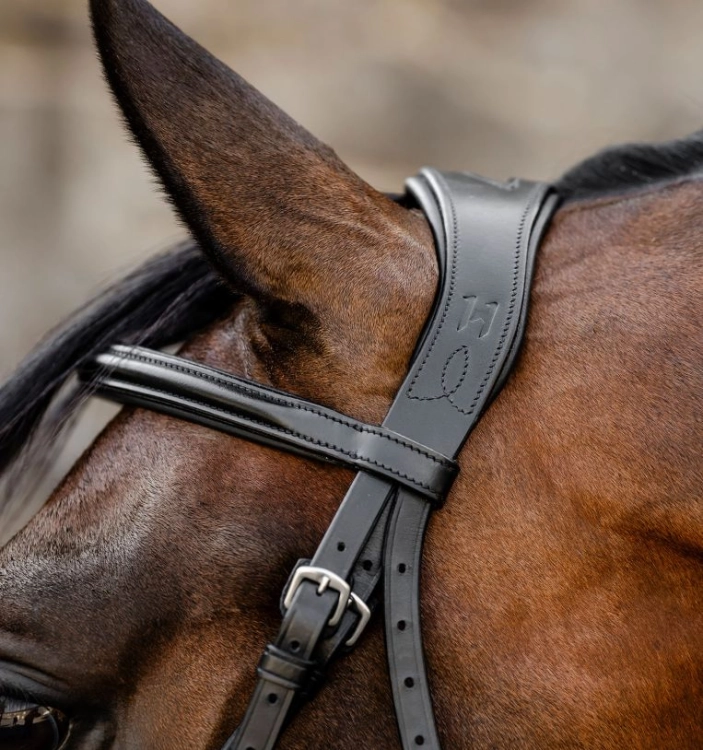 Oglowie-meksykanskie-HORSEWARE-Figure-8-Grackle-05