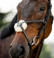 Oglowie-meksykanskie-HORSEWARE-Figure-8-Grackle-06