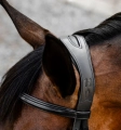 Oglowie-meksykanskie-HORSEWARE-Figure-8-Grackle-08