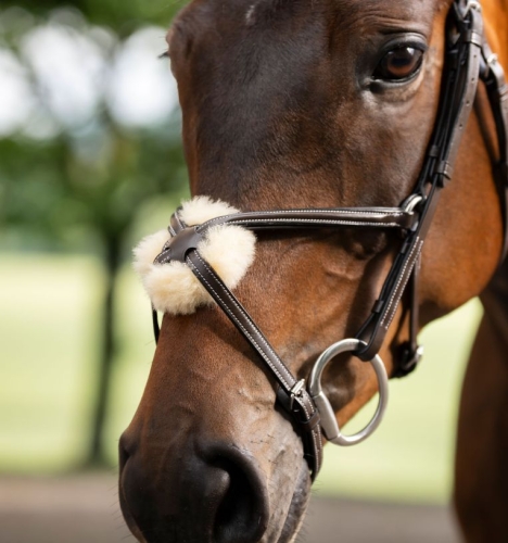 Oglowie-meksykanskie-HORSEWARE-Figure-8-Grackle-02