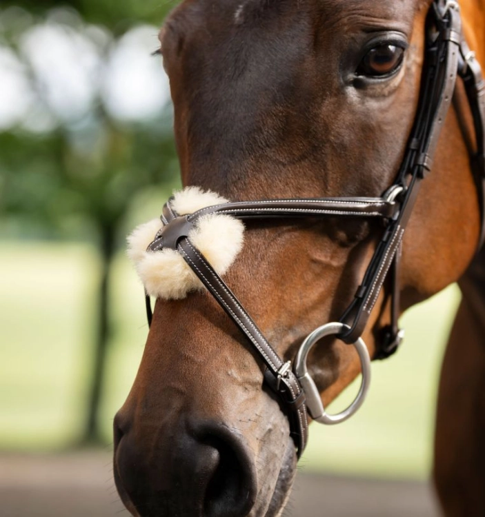 Oglowie-meksykanskie-HORSEWARE-Figure-8-Grackle-02