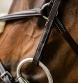 Oglowie-meksykanskie-HORSEWARE-Figure-8-Grackle-04