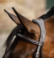 Oglowie-meksykanskie-HORSEWARE-Figure-8-Grackle-07
