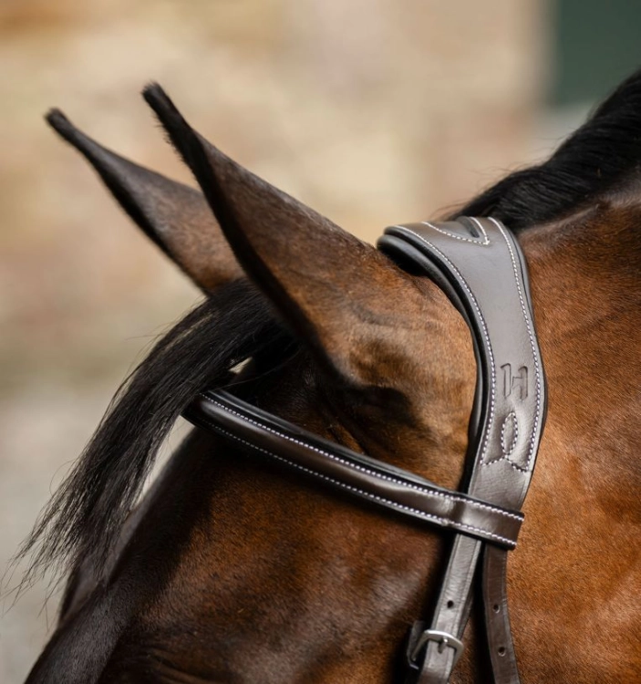 Oglowie-meksykanskie-HORSEWARE-Figure-8-Grackle-07