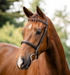 sbhgtn-u000-horseware-hunter-bridle-havana-brown-main_ehsd3esmbshep1ea.jpg