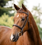 Ogłowie HORSEWARE "Hunter"