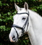 Ogłowie-HORSEWARE-Dressage-Flash-czarne