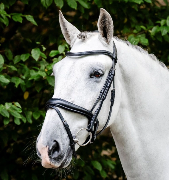 Ogłowie-HORSEWARE-Dressage-Flash-czarne