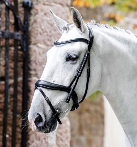 Ogłowie-HORSEWARE-Dressage-Flash-czarne