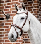Ogłowie-HORSEWARE-Dressage-Flash-brazowe-01
