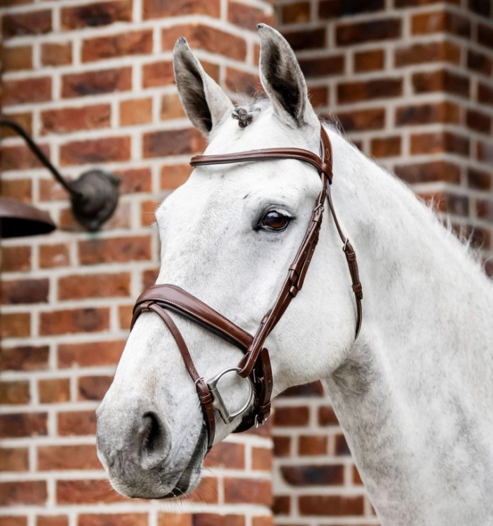 Ogłowie-HORSEWARE-Dressage-Flash-brazowe-01