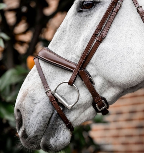 Ogłowie-HORSEWARE-Dressage-Flash-brazowe-02