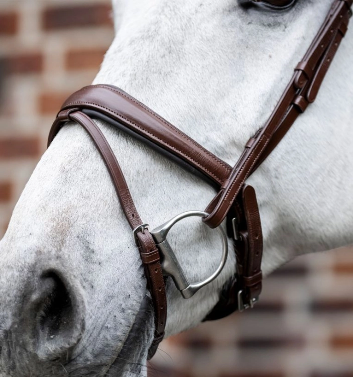 Ogłowie-HORSEWARE-Dressage-Flash-brazowe-03