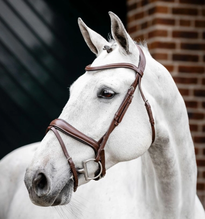 Ogłowie-HORSEWARE-Dressage-Flash-brazowe-04