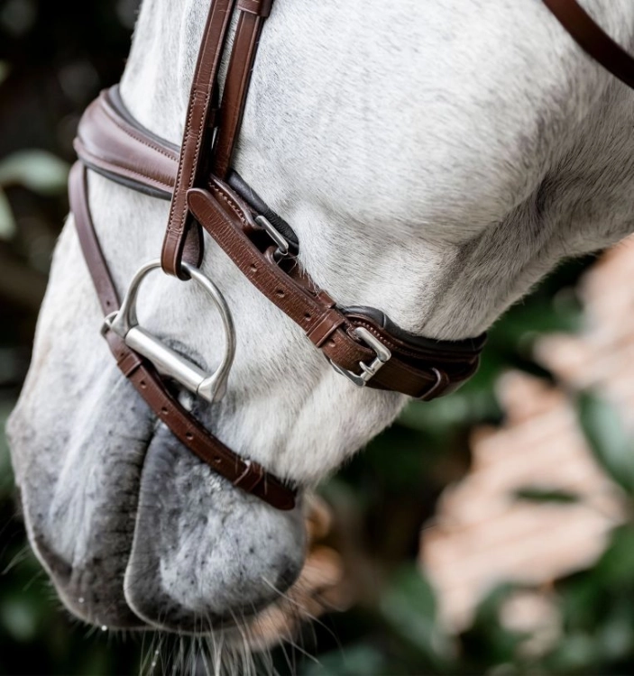 Ogłowie-HORSEWARE-Dressage-Flash-brazowe-05