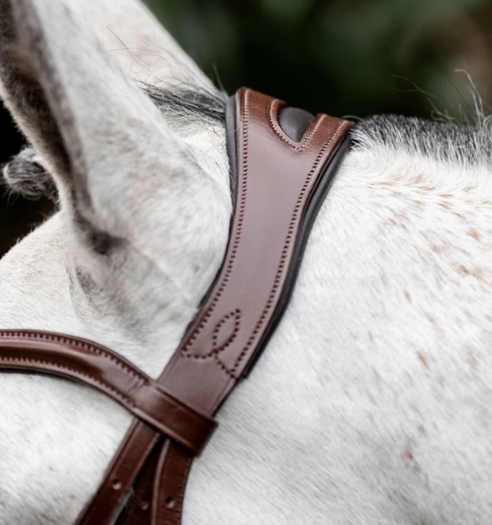 Ogłowie-HORSEWARE-Dressage-Flash-brazowe-06