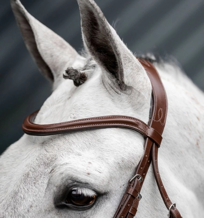 Ogłowie-HORSEWARE-Dressage-Flash-brazowe-07