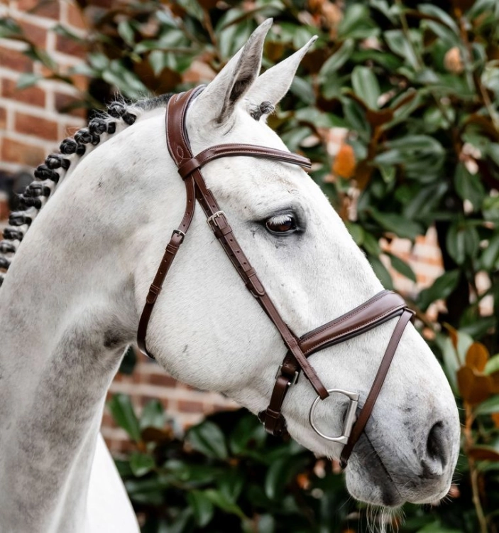 Ogłowie-HORSEWARE-Dressage-Flash-brazowe-08