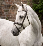 sbhinp-n000-horseware-pony-flash-bridle-brown-main-1.jpg
