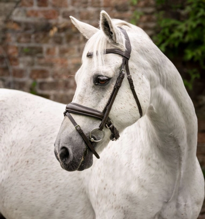 sbhinp-n000-horseware-pony-flash-bridle-brown-main-1.jpg