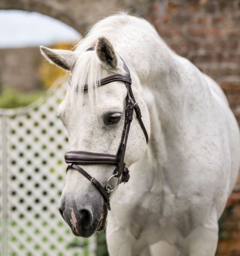 sbhinp-n000-horseware-pony-flash-bridle-brown-main-2.jpg