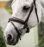 sbhinp-n000-horseware-pony-flash-bridle-brown-noseband.jpg