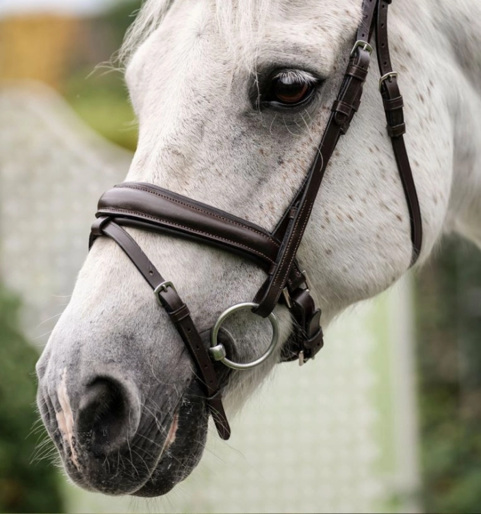 sbhinp-n000-horseware-pony-flash-bridle-brown-noseband.jpg