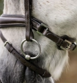 sbhinp-n000-horseware-pony-flash-bridle-brown-back-of-noseband.jpg