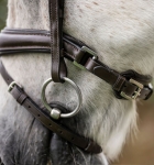 sbhinp-n000-horseware-pony-flash-bridle-brown-back-of-noseband.jpg