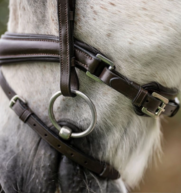 sbhinp-n000-horseware-pony-flash-bridle-brown-back-of-noseband.jpg