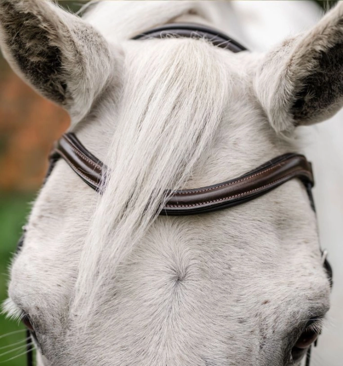 sbhinp-n000-horseware-pony-flash-bridle-brown-browband.jpg