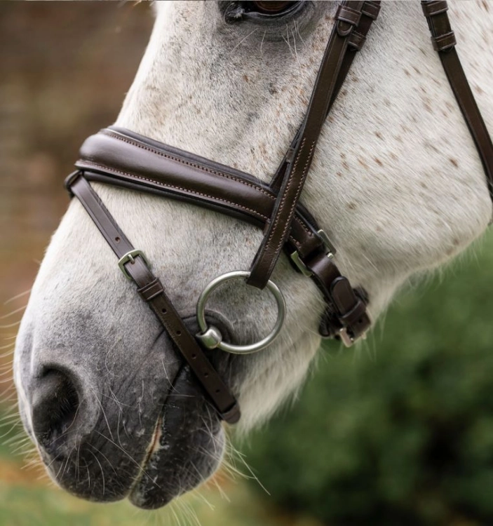 sbhinp-n000-horseware-pony-flash-bridle-brown-flash.jpg