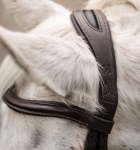 sbhinp-n000-horseware-pony-flash-bridle-brown-headband-1.jpg