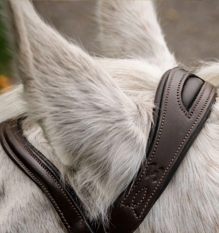sbhinp-n000-horseware-pony-flash-bridle-brown-headband-2.jpg