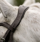 sbhinp-n000-horseware-pony-flash-bridle-brown-headband-3.jpg