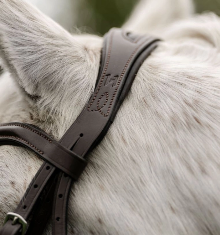 sbhinp-n000-horseware-pony-flash-bridle-brown-headband-3.jpg