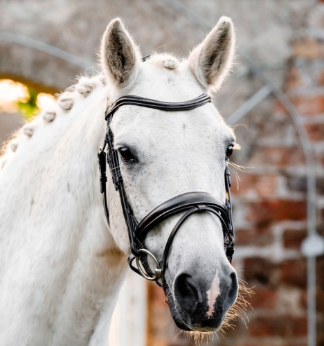 Oglowie-dla-kuca-HORSEWARE-Pony-Flash-czarne-02