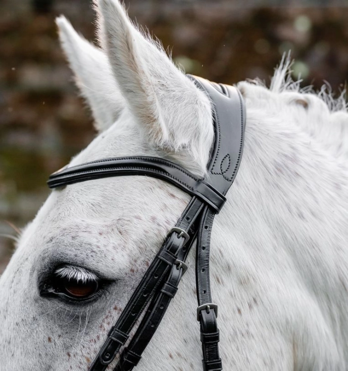 Oglowie-dla-kuca-HORSEWARE-Pony-Flash-czarne-03