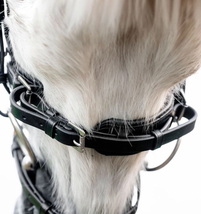 Oglowie-dla-kuca-HORSEWARE-Pony-Flash-czarne-04