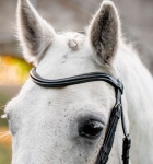 Oglowie-dla-kuca-HORSEWARE-Pony-Flash-czarne-05