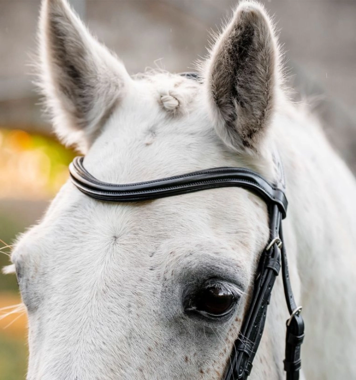Oglowie-dla-kuca-HORSEWARE-Pony-Flash-czarne-05