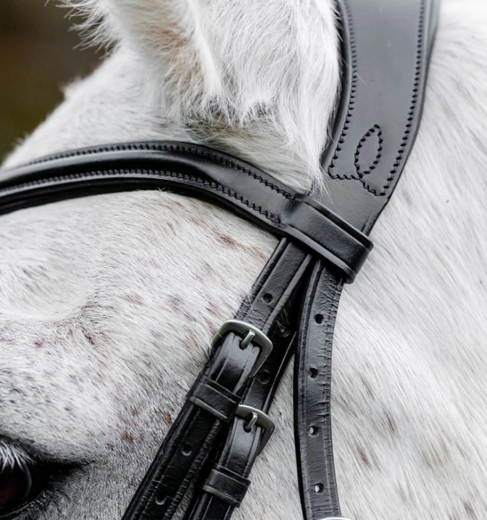Oglowie-dla-kuca-HORSEWARE-Pony-Flash-czarne-06
