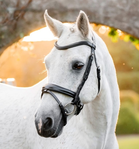 Oglowie-dla-kuca-HORSEWARE-Pony-Flash-czarne-01