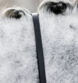 Wodze munsztukowe HORSEWARE Curb czarne
